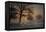 Foggy Morning-Piet Haaksma-Framed Premier Image Canvas