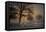 Foggy Morning-Piet Haaksma-Framed Premier Image Canvas