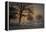 Foggy Morning-Piet Haaksma-Framed Premier Image Canvas