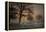 Foggy Morning-Piet Haaksma-Framed Premier Image Canvas