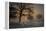 Foggy Morning-Piet Haaksma-Framed Premier Image Canvas