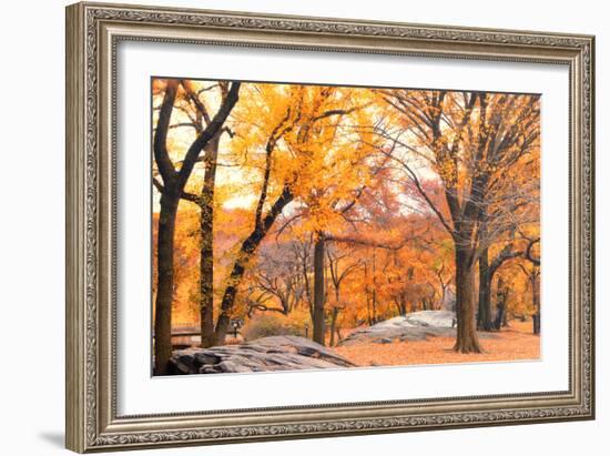 Foggy October Afternoon in Central Park, Manhattan, New York Cit-Sabine Jacobs-Framed Photographic Print