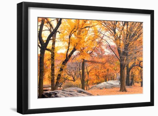 Foggy October Afternoon in Central Park, Manhattan, New York Cit-Sabine Jacobs-Framed Photographic Print