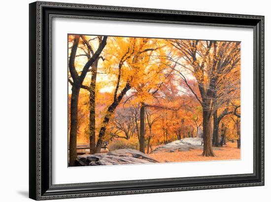 Foggy October Afternoon in Central Park, Manhattan, New York Cit-Sabine Jacobs-Framed Photographic Print