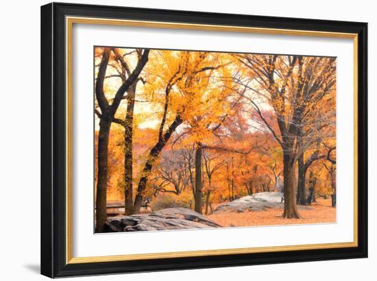 Foggy October Afternoon in Central Park, Manhattan, New York Cit-Sabine Jacobs-Framed Photographic Print