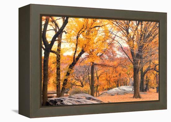 Foggy October Afternoon in Central Park, Manhattan, New York Cit-Sabine Jacobs-Framed Premier Image Canvas