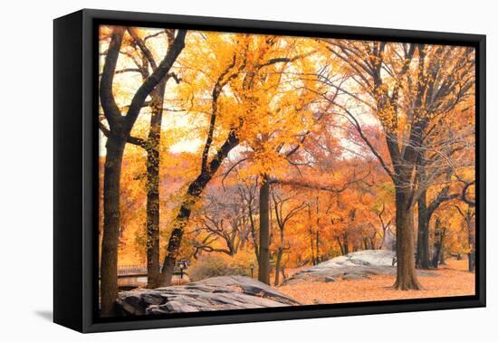 Foggy October Afternoon in Central Park, Manhattan, New York Cit-Sabine Jacobs-Framed Premier Image Canvas