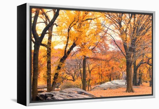 Foggy October Afternoon in Central Park, Manhattan, New York Cit-Sabine Jacobs-Framed Premier Image Canvas