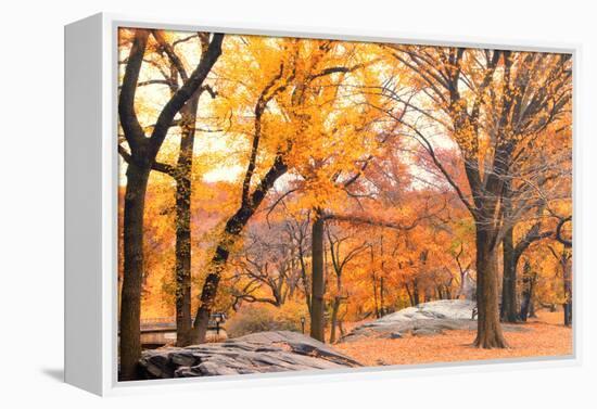 Foggy October Afternoon in Central Park, Manhattan, New York Cit-Sabine Jacobs-Framed Premier Image Canvas