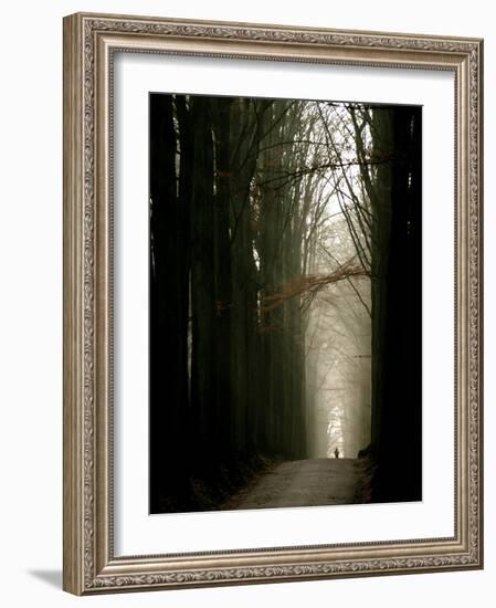 Foggy Path with Trees-Guillaume Carels-Framed Photographic Print