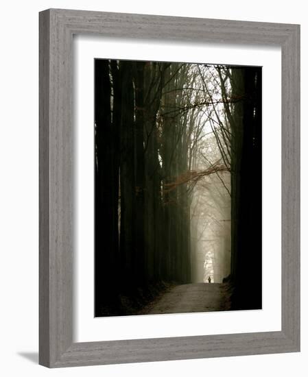 Foggy Path with Trees-Guillaume Carels-Framed Photographic Print