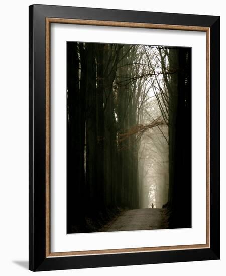 Foggy Path with Trees-Guillaume Carels-Framed Photographic Print