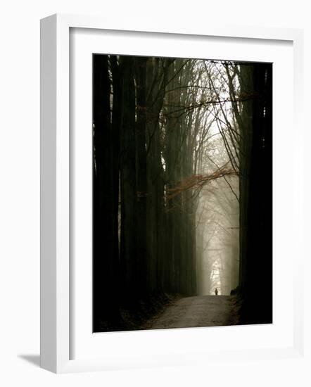 Foggy Path with Trees-Guillaume Carels-Framed Photographic Print