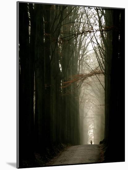 Foggy Path with Trees-Guillaume Carels-Mounted Photographic Print