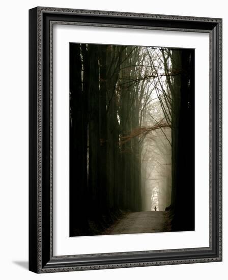 Foggy Path with Trees-Guillaume Carels-Framed Photographic Print