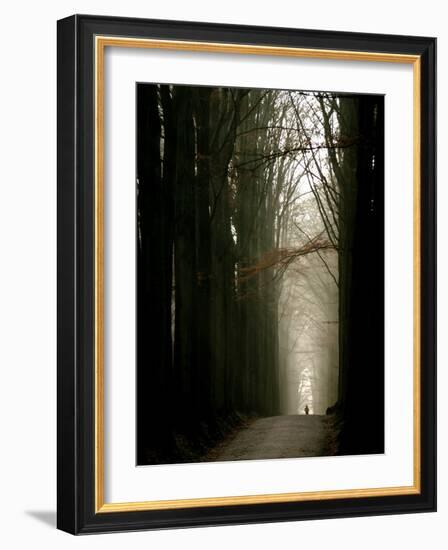 Foggy Path with Trees-Guillaume Carels-Framed Photographic Print