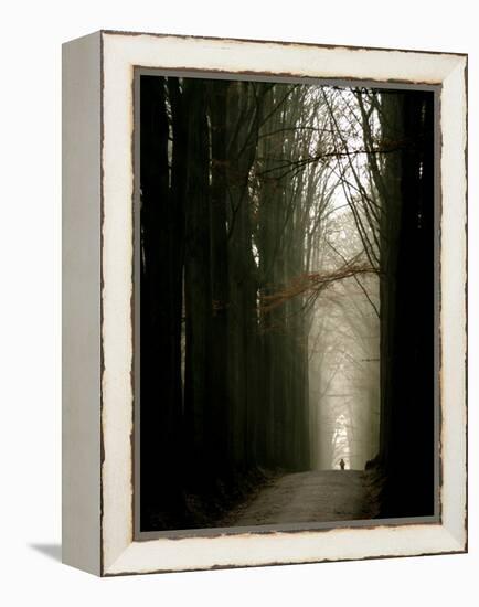 Foggy Path with Trees-Guillaume Carels-Framed Premier Image Canvas