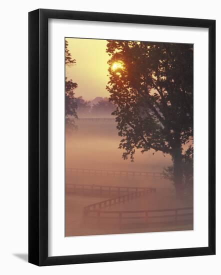 Foggy Sunrise on Horse Farm, Kentucky-Kent Foster-Framed Photographic Print