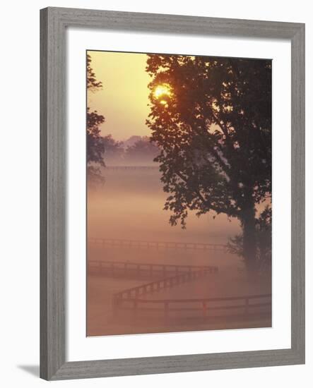 Foggy Sunrise on Horse Farm, Kentucky-Kent Foster-Framed Photographic Print