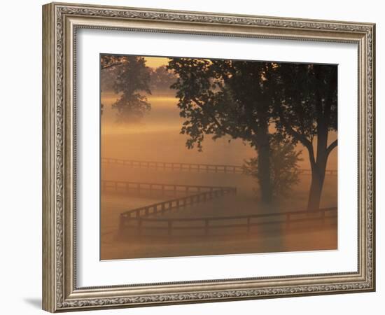 Foggy Sunrise on Horse Farm, Kentucky-Kent Foster-Framed Photographic Print