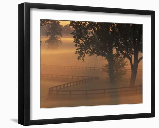 Foggy Sunrise on Horse Farm, Kentucky-Kent Foster-Framed Photographic Print