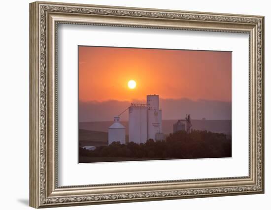 Foggy Sunrise over Grain Elevator, Farm, Kathryn, North Dakota, USA-Chuck Haney-Framed Photographic Print