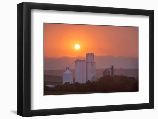 Foggy Sunrise over Grain Elevator, Farm, Kathryn, North Dakota, USA-Chuck Haney-Framed Photographic Print