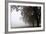 Foggy Trees III-Tammy Putman-Framed Photographic Print