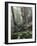 Foggy Trees on a Rock-Markus Lange-Framed Photographic Print