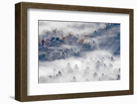 Foggy Valley at Sunrise, Pounding Mill Overlook, North Carolina-Adam Jones-Framed Photographic Print