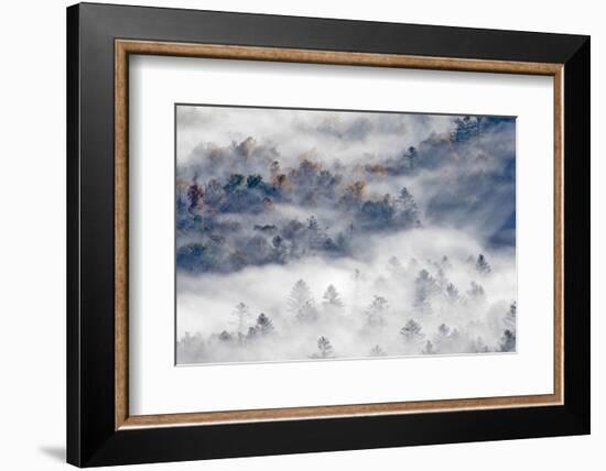 Foggy Valley at Sunrise, Pounding Mill Overlook, North Carolina-Adam Jones-Framed Photographic Print