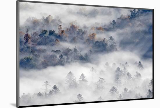 Foggy Valley at Sunrise, Pounding Mill Overlook, North Carolina-Adam Jones-Mounted Photographic Print