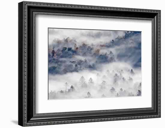 Foggy Valley at Sunrise, Pounding Mill Overlook, North Carolina-Adam Jones-Framed Photographic Print