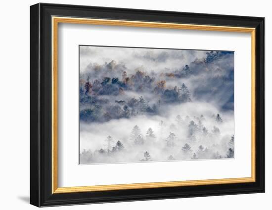 Foggy Valley at Sunrise, Pounding Mill Overlook, North Carolina-Adam Jones-Framed Photographic Print