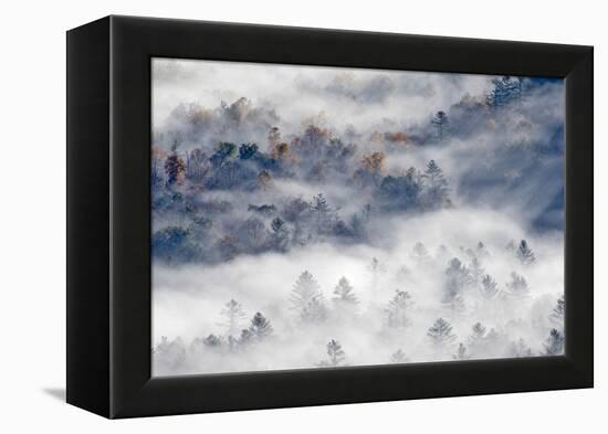 Foggy Valley at Sunrise, Pounding Mill Overlook, North Carolina-Adam Jones-Framed Premier Image Canvas