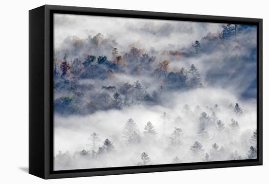 Foggy Valley at Sunrise, Pounding Mill Overlook, North Carolina-Adam Jones-Framed Premier Image Canvas