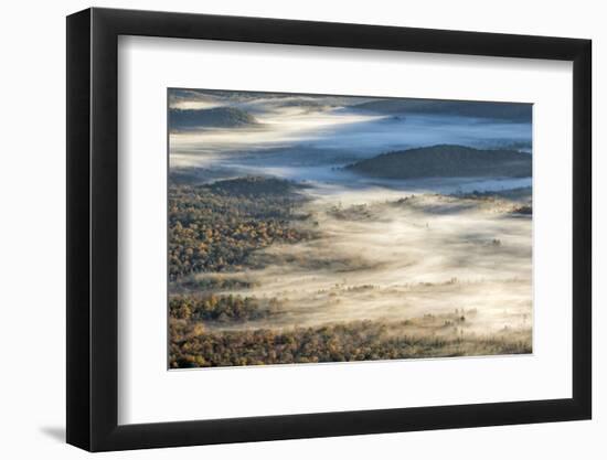 Foggy Valley at Sunrise, Pounding Mill Overlook, North Carolina-Adam Jones-Framed Photographic Print