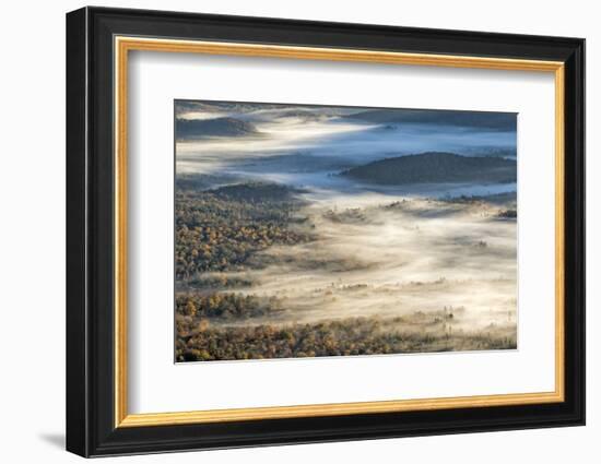 Foggy Valley at Sunrise, Pounding Mill Overlook, North Carolina-Adam Jones-Framed Photographic Print