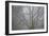 Foggy Winter I-Kathy Mahan-Framed Photographic Print