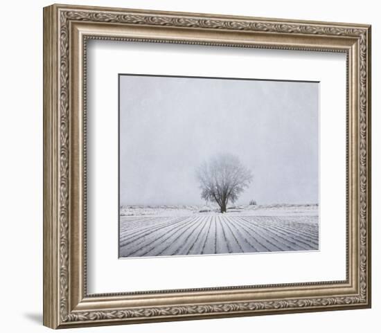 Foggy Winter Morning-Trent Foltz-Framed Art Print