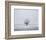 Foggy Winter Morning-Trent Foltz-Framed Art Print