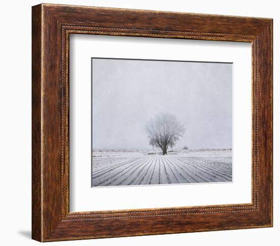 Foggy Winter Morning-Trent Foltz-Framed Art Print