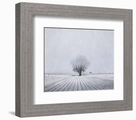 Foggy Winter Morning-Trent Foltz-Framed Art Print