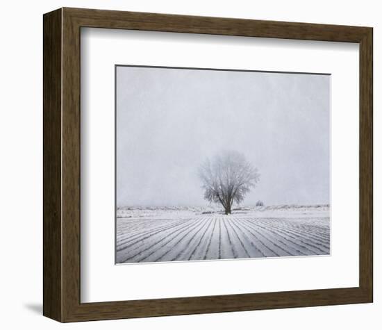 Foggy Winter Morning-Trent Foltz-Framed Art Print