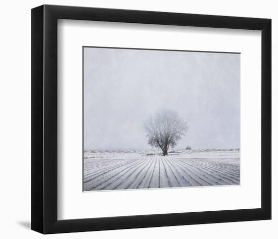 Foggy Winter Morning-Trent Foltz-Framed Giclee Print