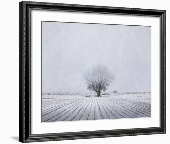 Foggy Winter Morning-Trent Foltz-Framed Art Print