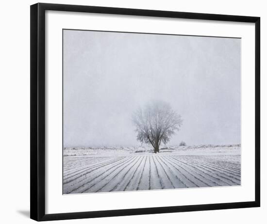 Foggy Winter Morning-Trent Foltz-Framed Art Print