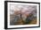 Foggy Woods-Stefan Hefele-Framed Giclee Print