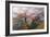 Foggy Woods-Stefan Hefele-Framed Giclee Print