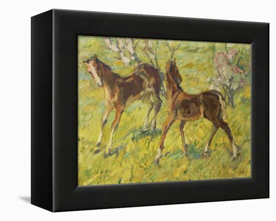 Fohlen Auf Der Weide, 1909-Franz Marc-Framed Premier Image Canvas